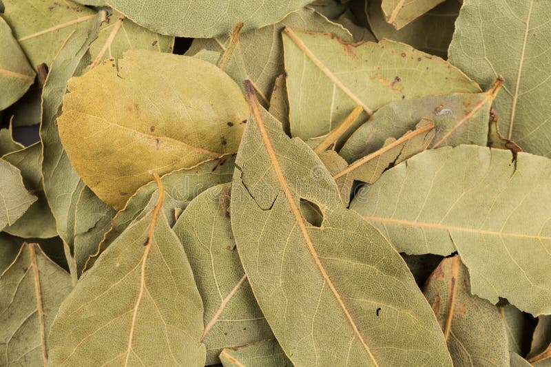 Dry bay leaves background stock image. Image of mediterranean - 277609465