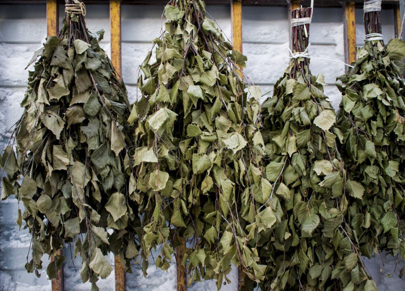 Dry Birch Brooms for a Bath Stock Photo Image of bathe, wall 82768946