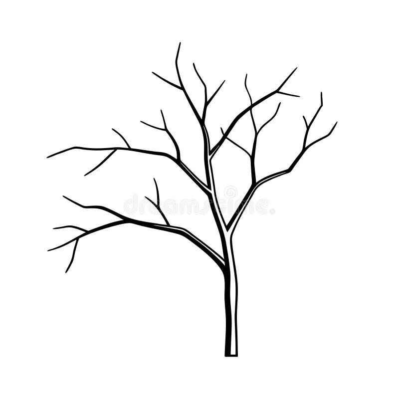 Dry Branches of Dead Tree - Stunning Stock Photos for Nature and Artistic ProjectsDry Branches of Dead Tree - Stunning Stock Photos for Nature and Artistic Projects. Old tree stump sketch vectors