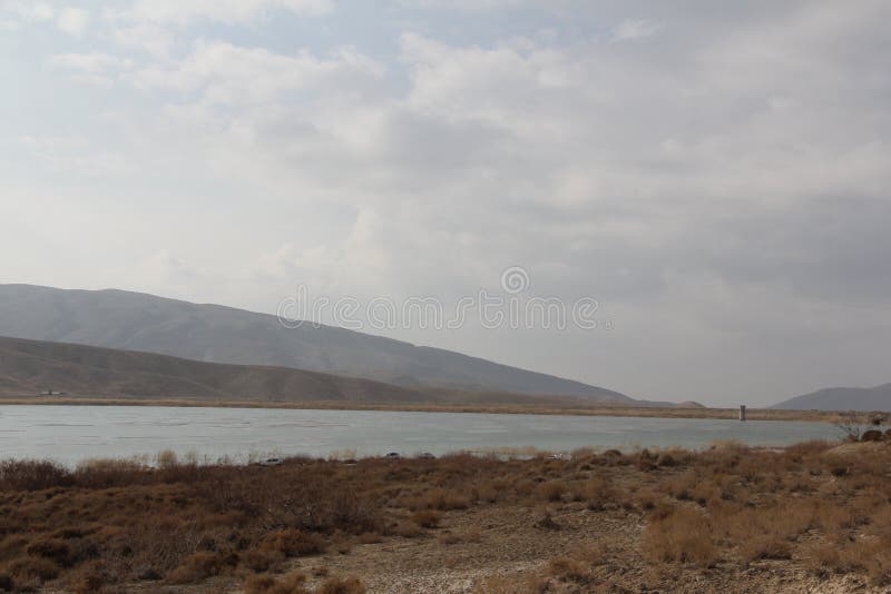 Dry brown branches and mountains with white clouds on white sky royalty free stock photos