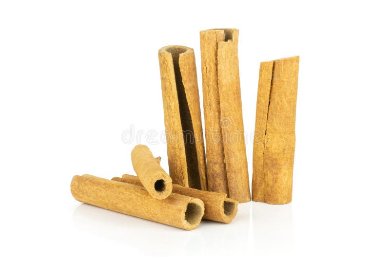 Dry Brown Cinnamon Stick Isolated on White Stock Image Image of piece
