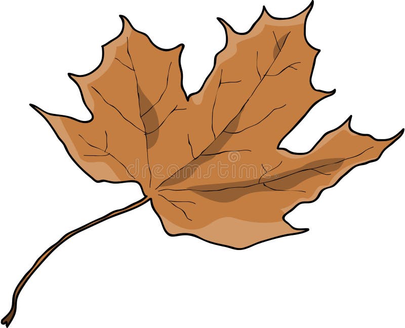 Dry brown leaf