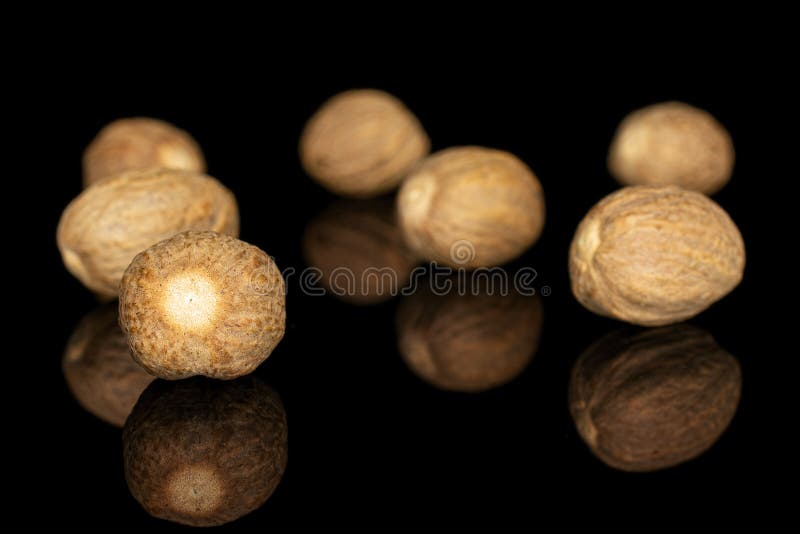 Dry Brown Nutmeg Isolated on Black Glass Stock Photo Image of glossy
