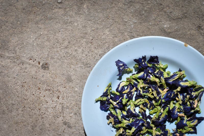 Dry Butterfly Pea Flower on Sunlight Stock Photo Image of butterfly