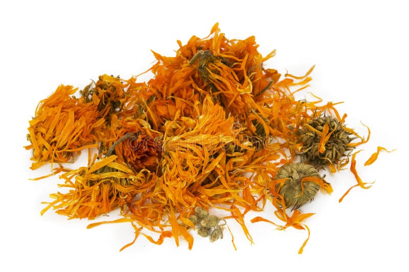 kalligrafie hoorbaar genezen Calendulae Stock Photos - Free & Royalty-Free Stock Photos from Dreamstime