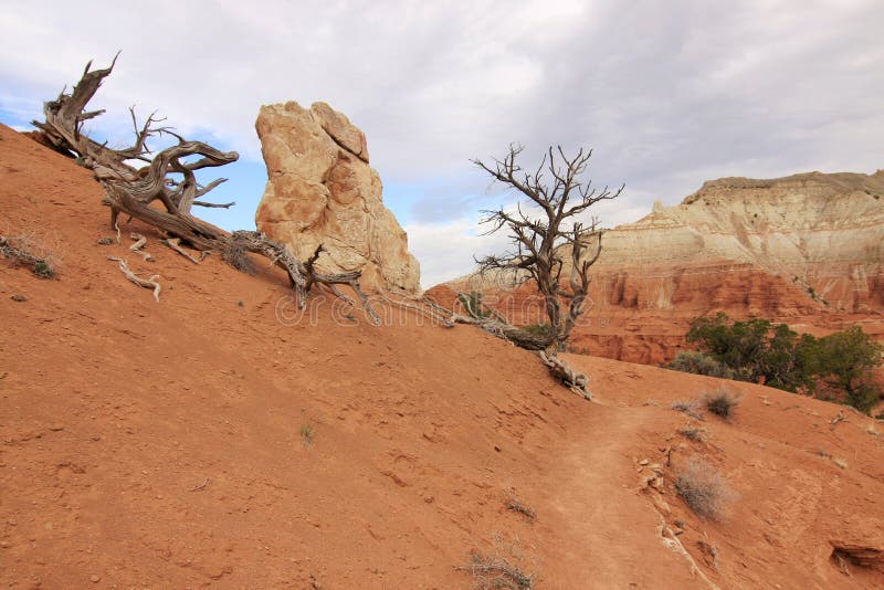 Dry canyonland landscape