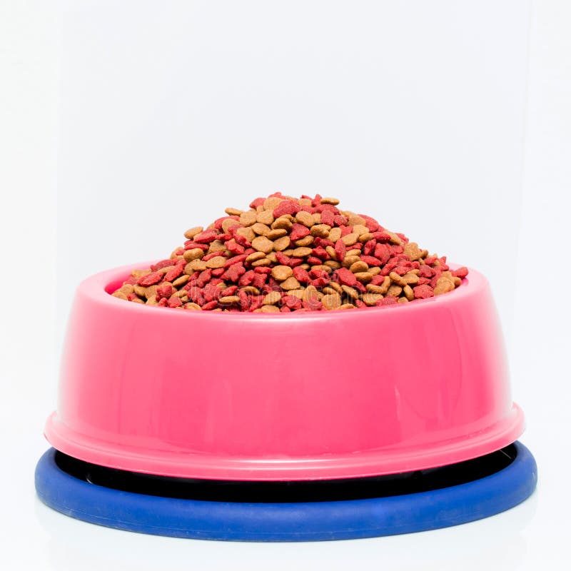 Cat Food in Pink Bag A Purrfectly Pink Product Overview Cat Food in Pink Bag A Purrfectly Pink Product Overview