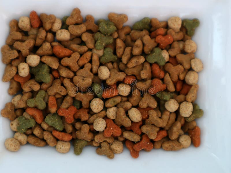 Dry Cat Food. Dry Cat Food. the Texture of Dry Food. Macro. Stock Photo