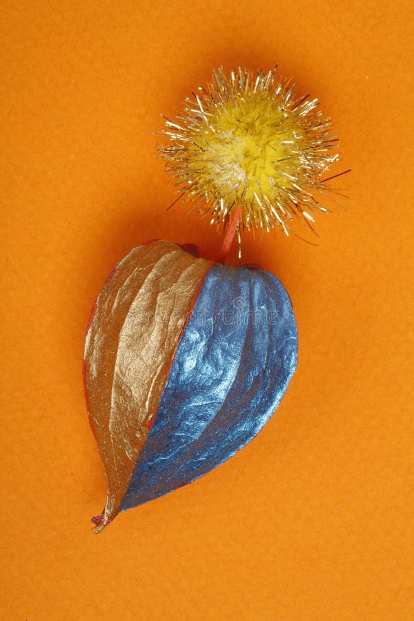 Dried Chinese Lantern Fruit Stock Image Image of chinese, asian 4038279