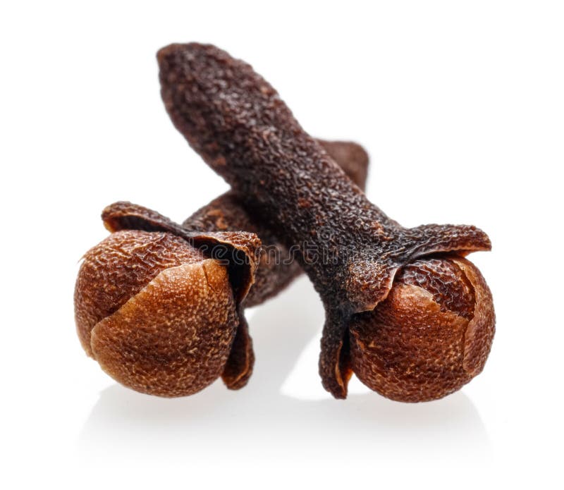 Dry Clove Buds Isolated on White Stock Image Image of healthy, herbal