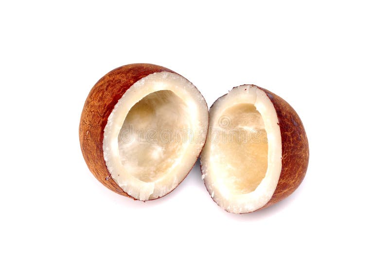 Dry coconut stock photo. Image of isolated, health, healthy 8810124