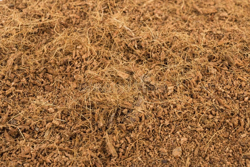 Coconut Coir fibre stock image. Image of sunny, natural 17645731