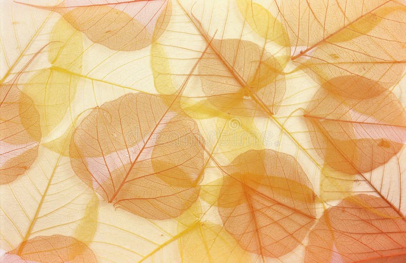 An image of dry colored leaves - background