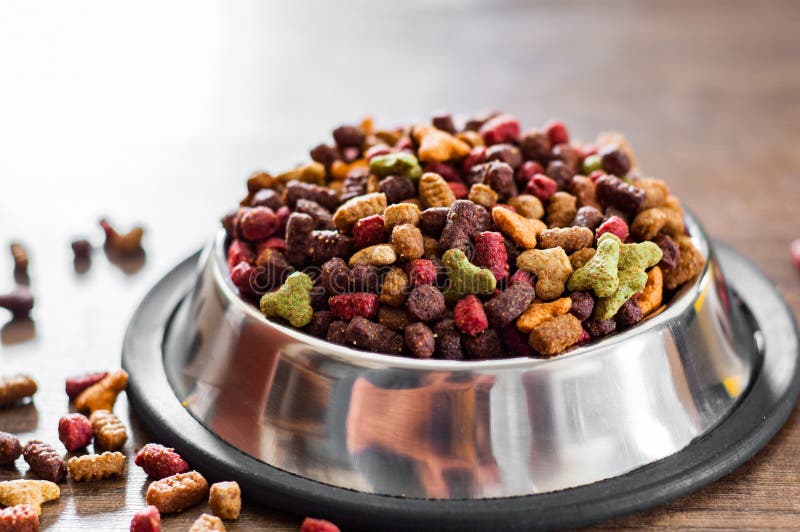 Dry Colorful cat food in metal bowl stock image Dry Colorful cat food in metal bowl stock image