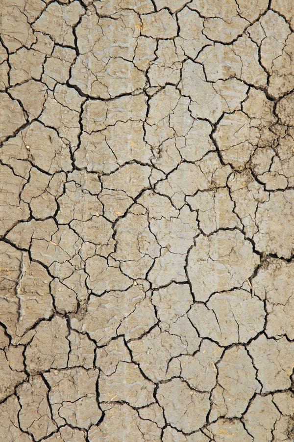 Dry and cracked earth stock photos