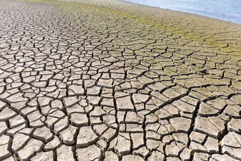 Dry cracked lake bed royalty free stock photos