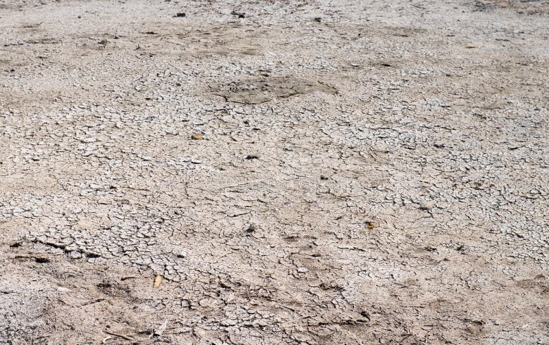 Dry cracked ground stock images