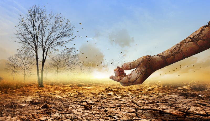 Dead Tree on the Dry Ground on  of Global Warming Stock  Photo - Image of fresh, warming: 185339048