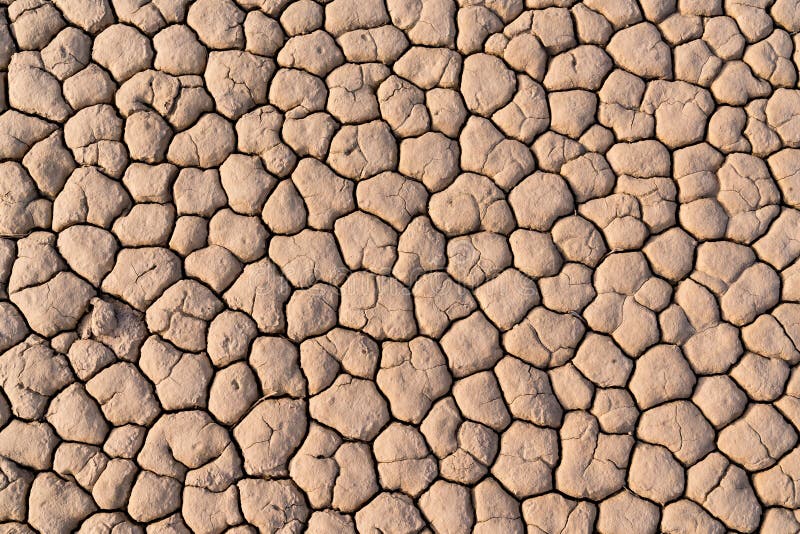 Dry Cracked Lakebed Background royalty free stock photo