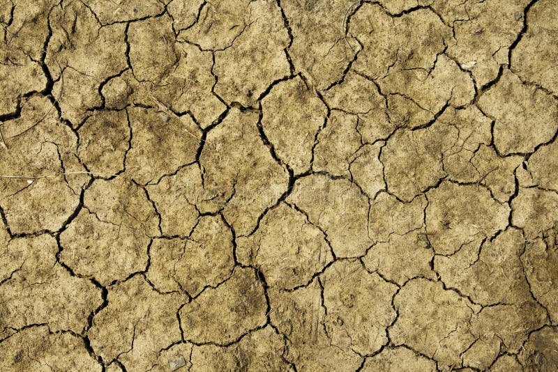 Dry cracked land