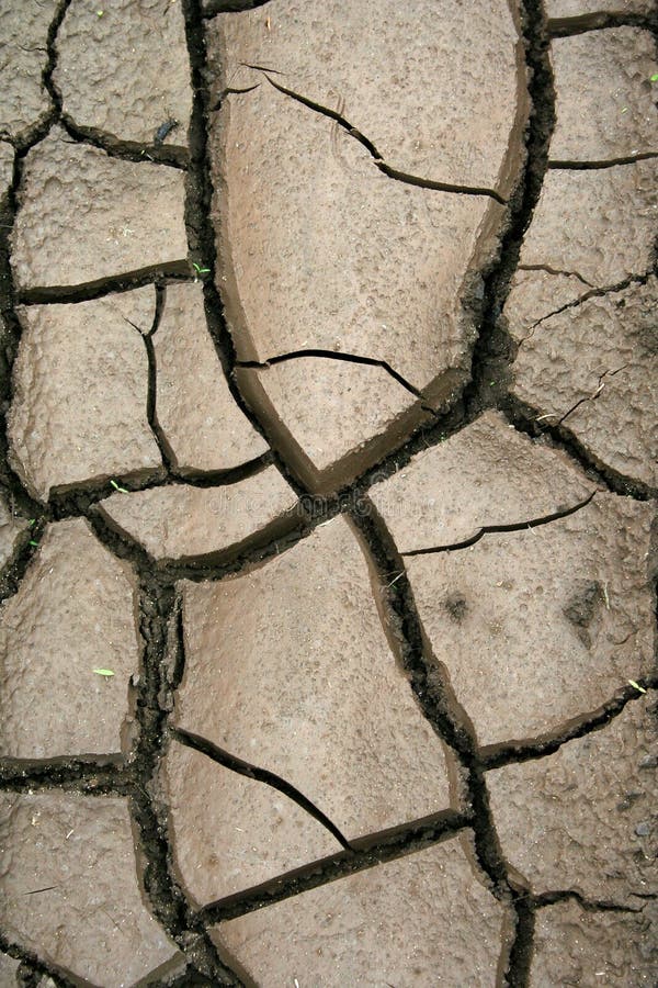 Photograph of dry earth forming cracks because of lack of moisture. Photograph of dry earth forming cracks because of lack of moisture.