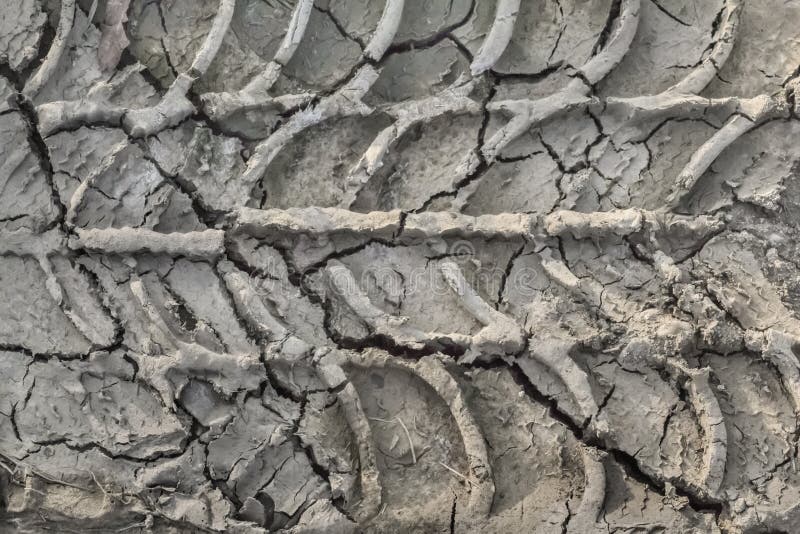 Photograph of a tire track prints left in wet mud, visible on barren, cracked soil, reduced by summer scorching heath into lumps of dirt. Photograph of a tire track prints left in wet mud, visible on barren, cracked soil, reduced by summer scorching heath into lumps of dirt.