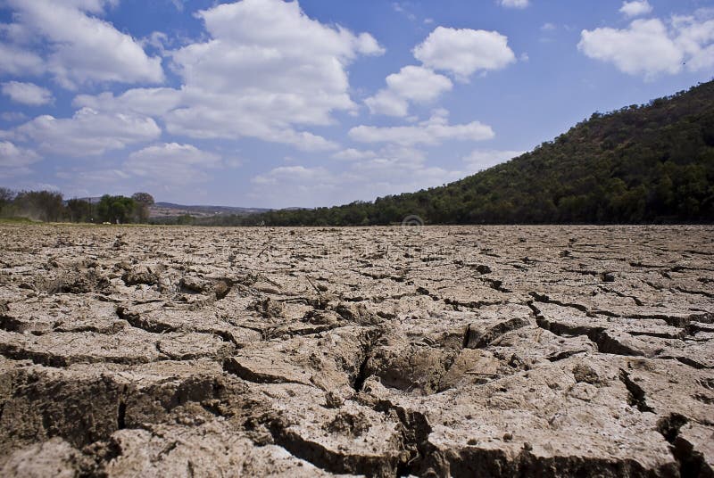 Dry Cracked Riverbed