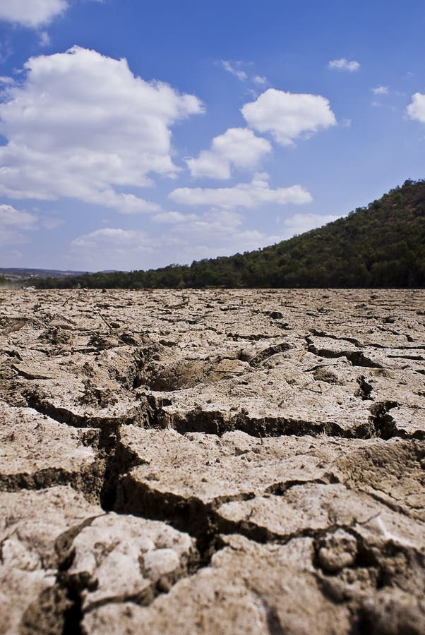 Dry Cracked Riverbed - Portrait