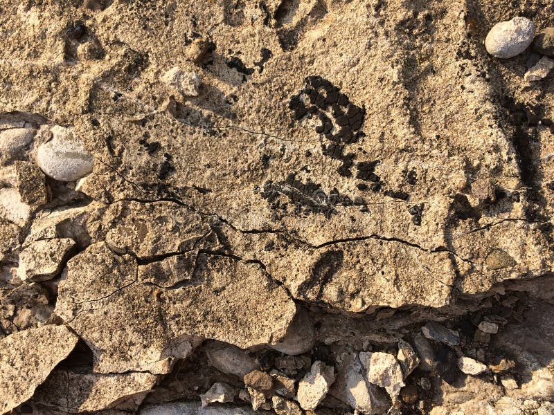 Dry Cracked and Rough Cement with Stones Stock Photo - Image of cracked