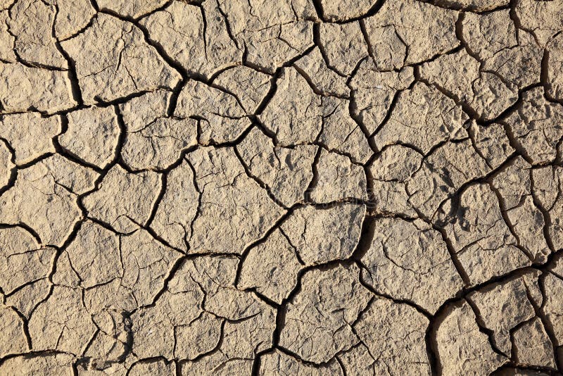 Dry cracked soil stock photo