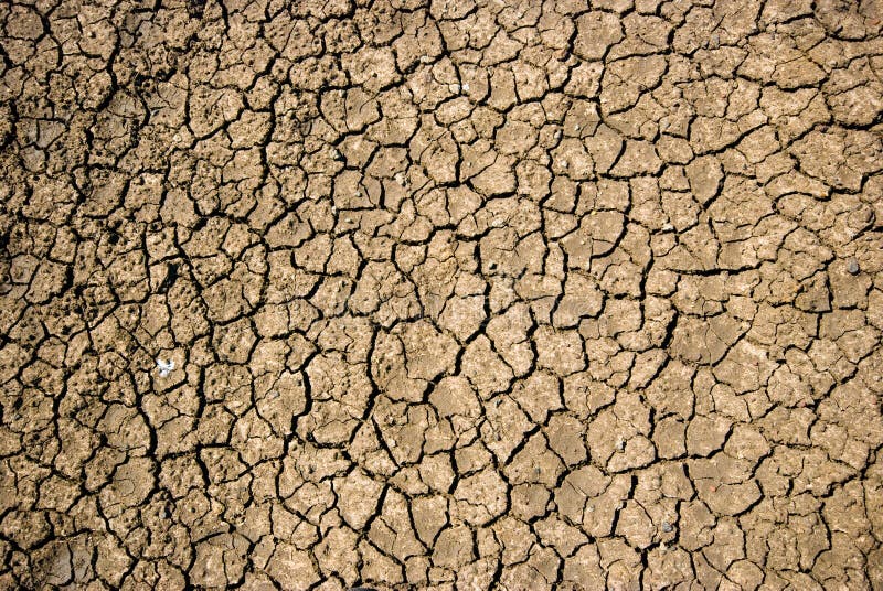 Dry cracked soil during drought