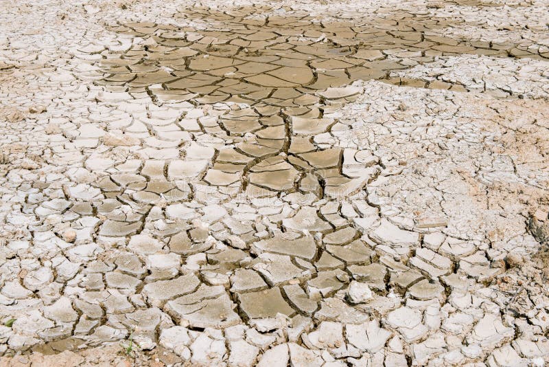 Cracks soil texture royalty free stock images