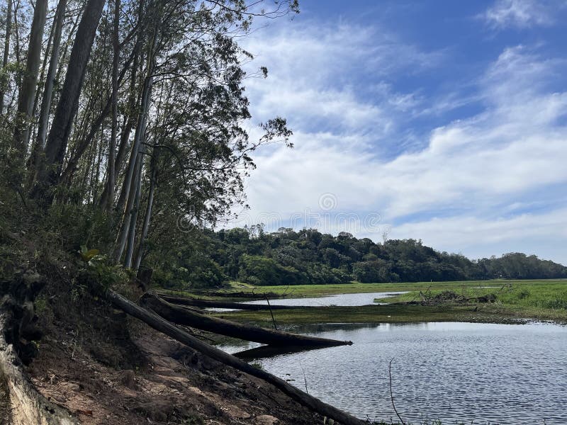 Daily life in Guarapiranga dam in Sao Paulo, Brazil - Xinhua