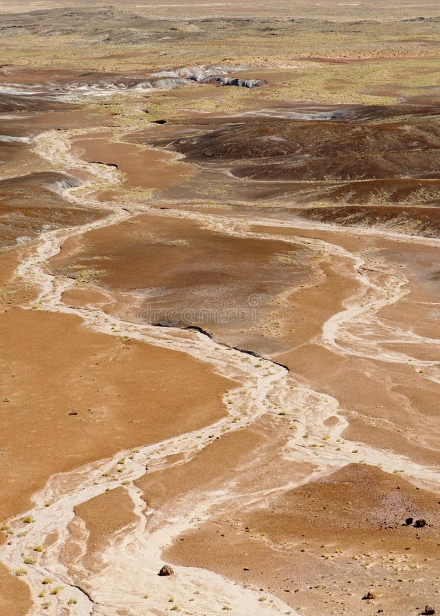 Dry desert wash stock photo. Image of preserve, species 21618916