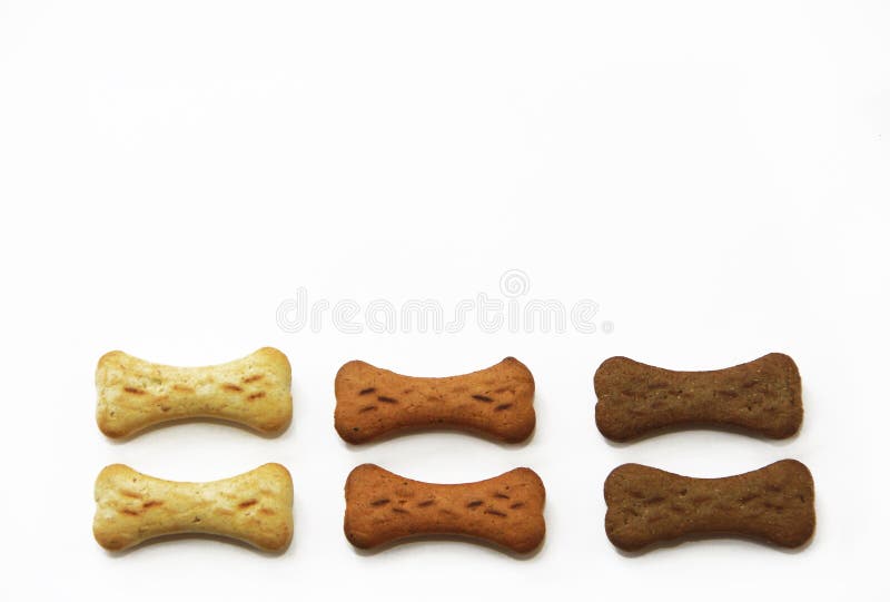 Dry dog food in side bones stock image. Image of cracker 218285497