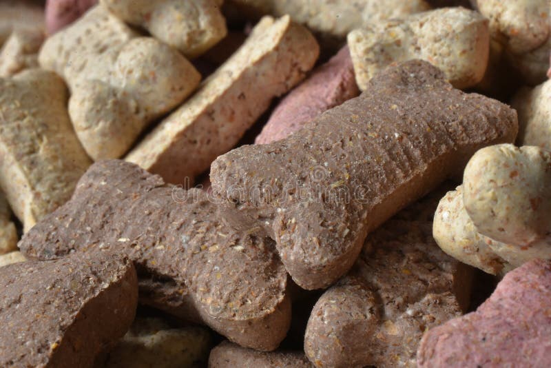 Dry Dog Treat Biscuits Abstract Stock Photo Image of loose, lots