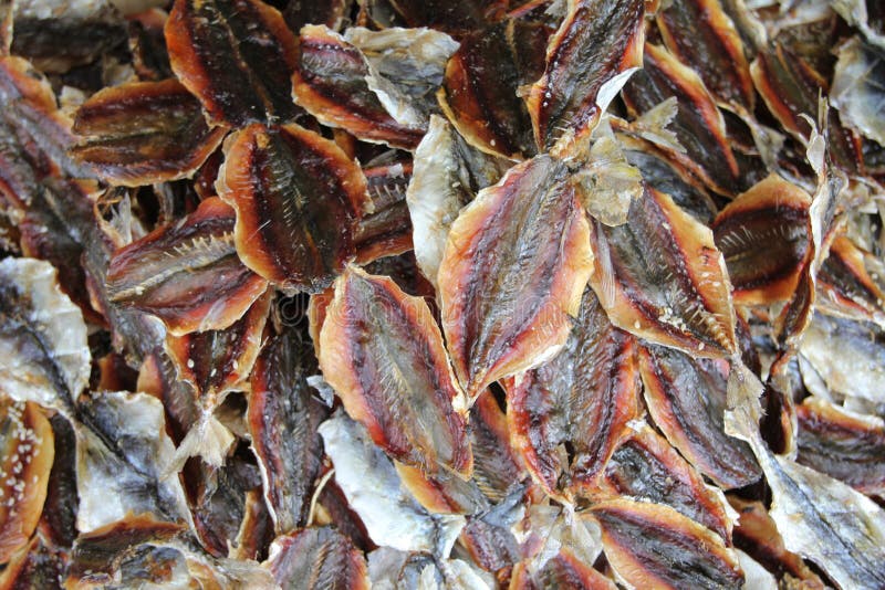 261 Dry Fish Bangkok Market Stock Photos Free & RoyaltyFree Stock