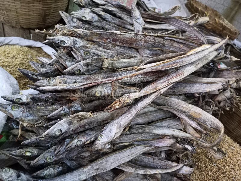 Dry fish in market stock image. Image of meat, fish 259072851