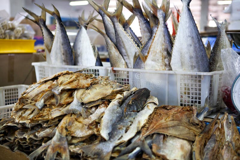 Dry Fish in the Market in Malaysia Stock Photo Image of ingredient