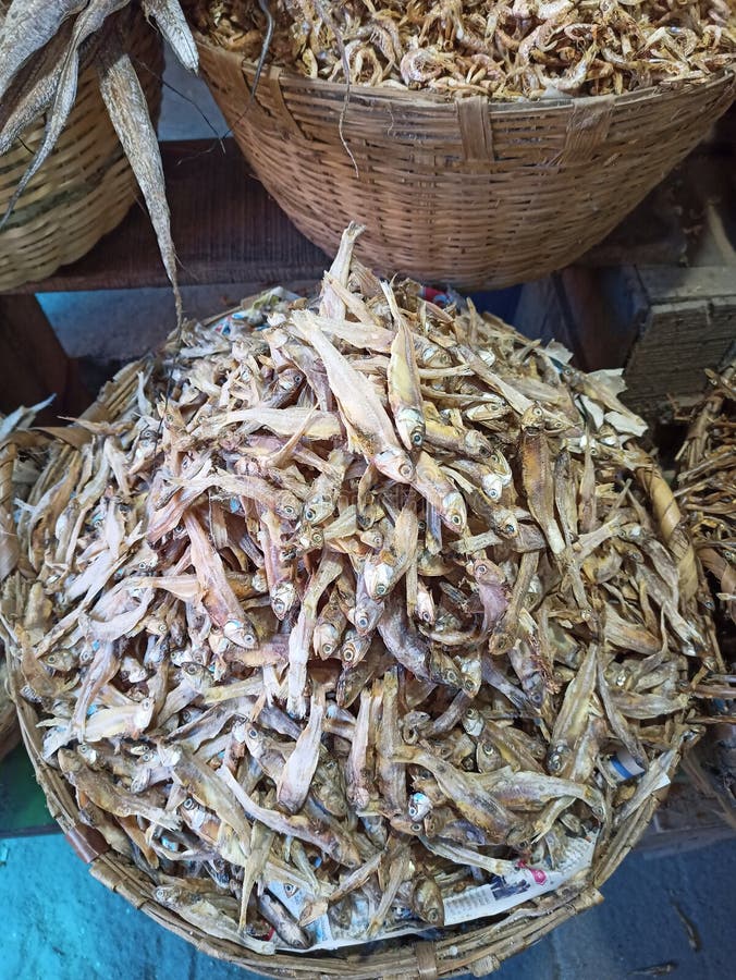 Dry Fish in Market Vijayawada Stock Photo Image of invertebrate, cuisine 259072814