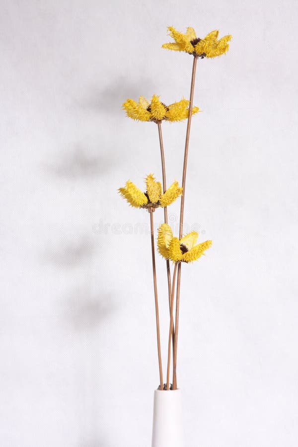 Dry flower