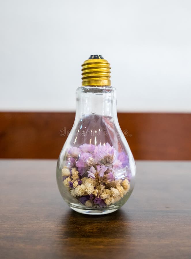 Dry Flower in Light Bulb on Blue Background Stock Image Image of