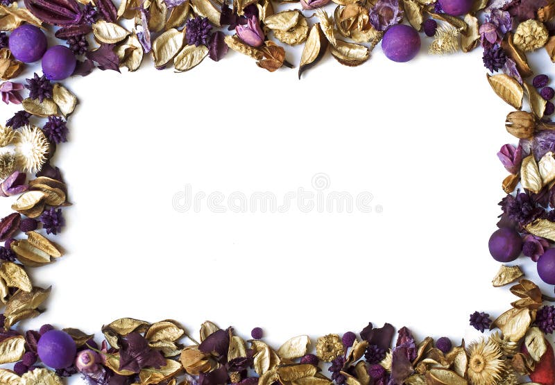 Dry flowers frame stock image. Image of botanical, petals 5877057