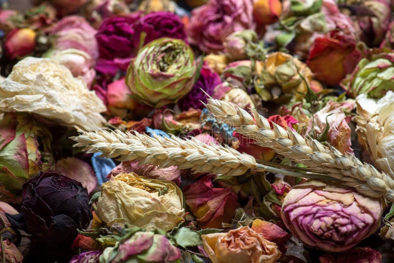 Dry flowers