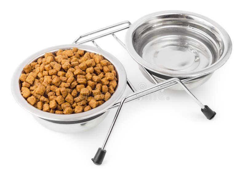 Dry food for pets with water stock images Dry food for pets with water stock images