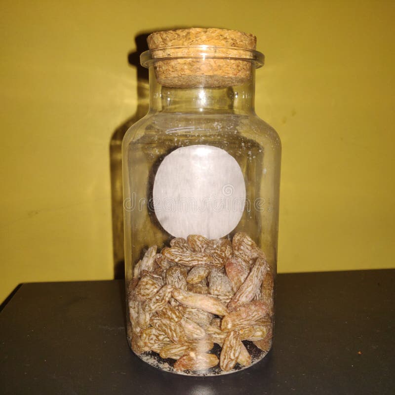 Dry Fruits Preservative Bottle, the Best in Use. Stock Image Image of