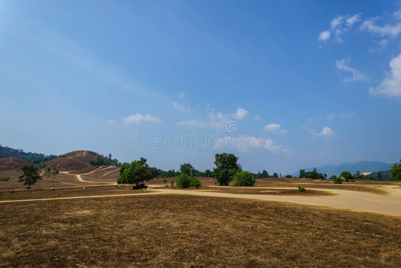 Dry grass mountain stock photo. Image of forest, view 69926356
