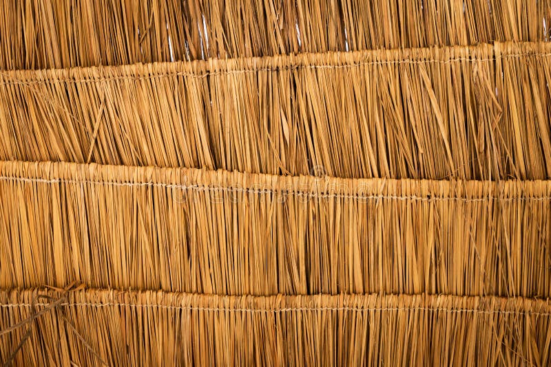 Dry Grass Roof Texture Background Stock Image Image of native, nature