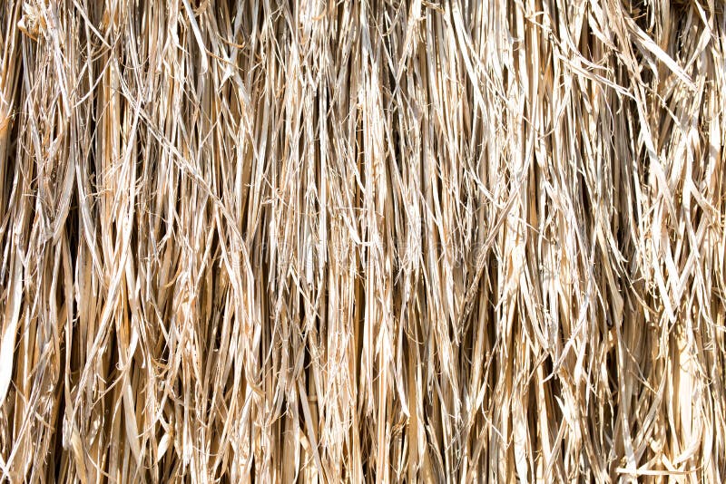 Dry grass stock photo. Image of grass, leaf, detail, roof 85286218