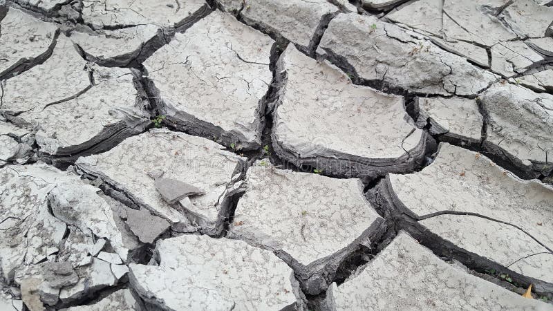 Dry gray cracked earth or clay desert textured background, closeup royalty free stock image Dry gray cracked earth or clay desert textured background, closeup royalty free stock image